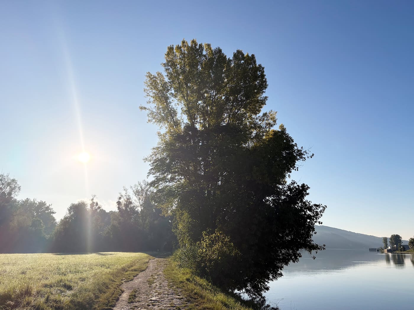 Ruhiger Fluss im Morgenlicht, gegenlichtdurchflutete Uferbäume